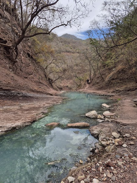 Canela Trek and Trip EVT LEGAJO 18880 · foto 3