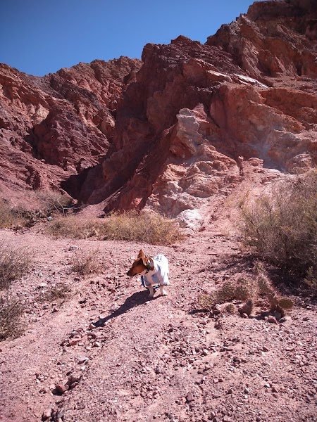 Los Salares Turismo Jujuy · foto 5