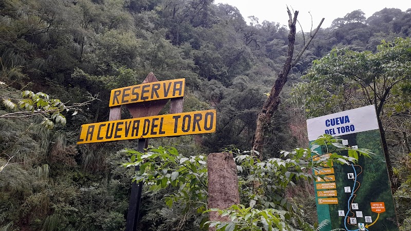 Cueva del Toro · foto 4