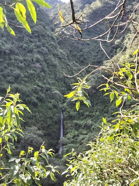 Cascada "La Inesperada" · foto 5