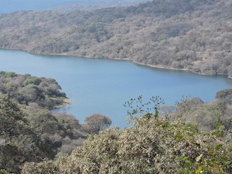 Yungas de Jujuy · foto 2