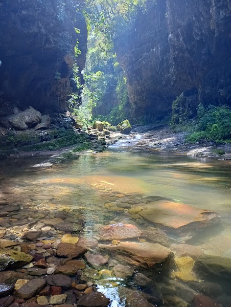 Yungas de Jujuy · foto 4
