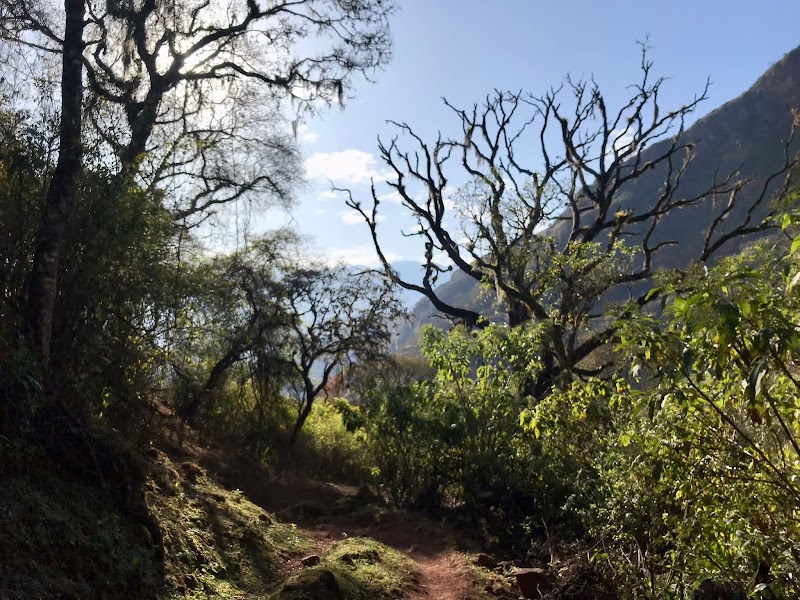 Yungas de Jujuy · foto 5