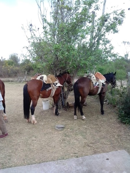 Cabalgatas Doña Lidia · foto 5