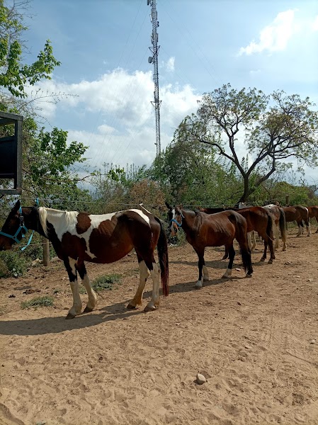 La Maroma · foto 4