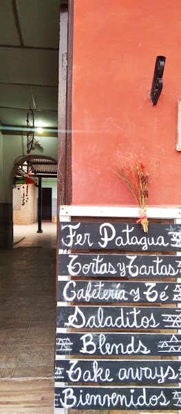 Fer patagua - 3