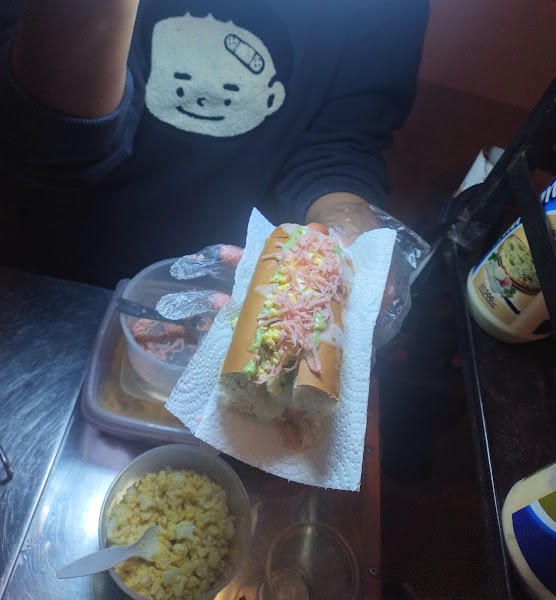 Perro Pancho - 2