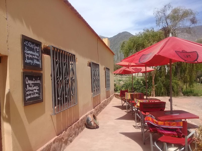 Lo de Tere - COCINA & PASTELERÍA ANDINA - imagen 1