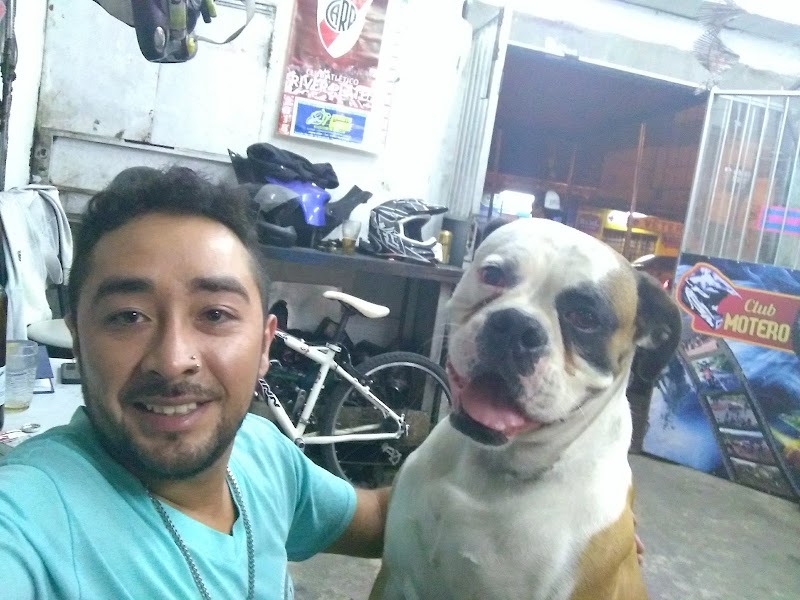 Grido helado - 4