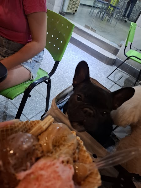 Helados Cremar - 2