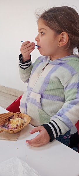 Grido helado - 4