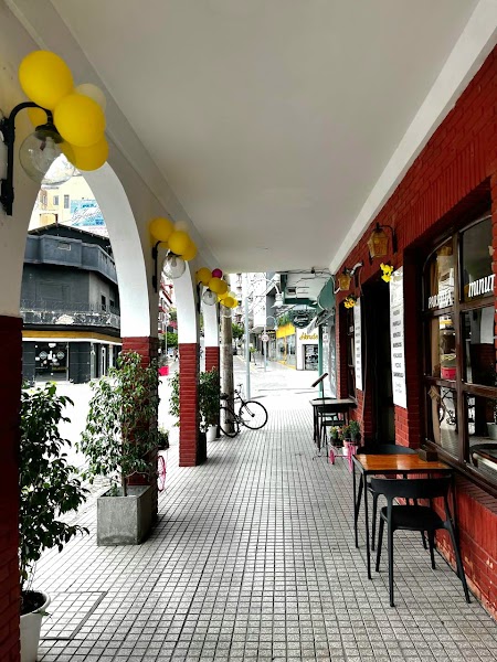 LA ROSA TRH (EX BAR AVENIDA) - 5